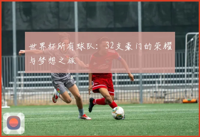 世界杯所有球队：32支豪门的荣耀与梦想之旅