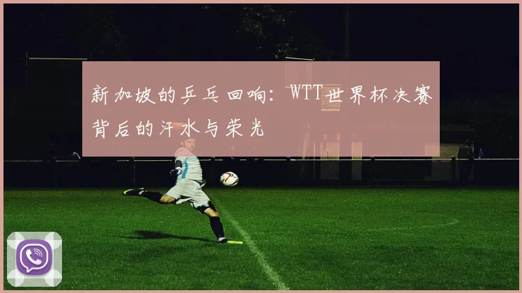 新加坡的乒乓回响：WTT世界杯决赛背后的汗水与荣光